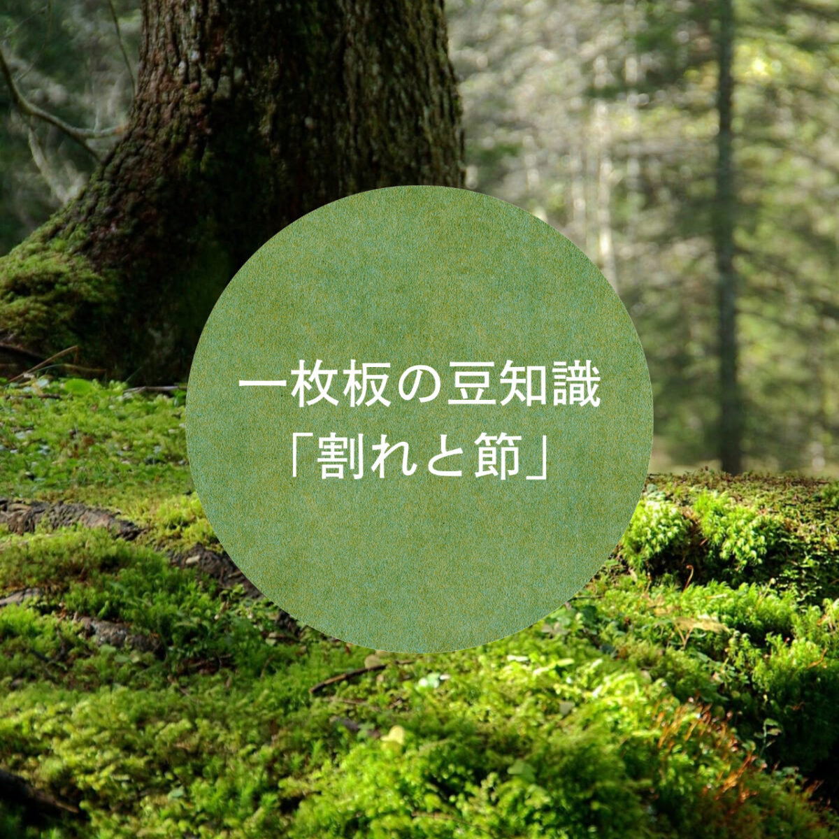 一枚板の豆知識①「割れと節」